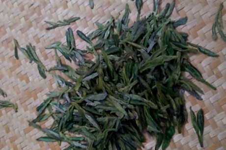 什么是高山土茶？