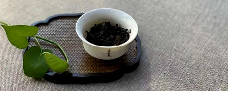 肉桂岩茶属于什么茶？