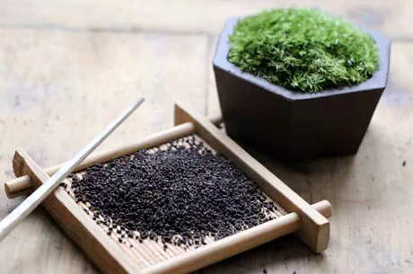 什么茶是用虫茶做的？