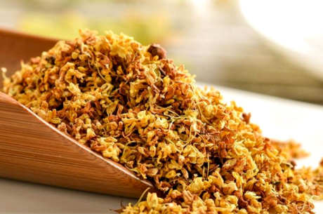 如何制作桂花茶？