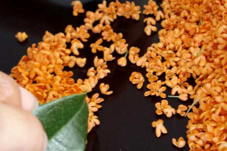 桂花茶怎么做？