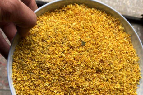 如何制作桂花茶？