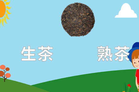 什么是普洱茶？