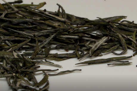 碧螺春属于什么茶？