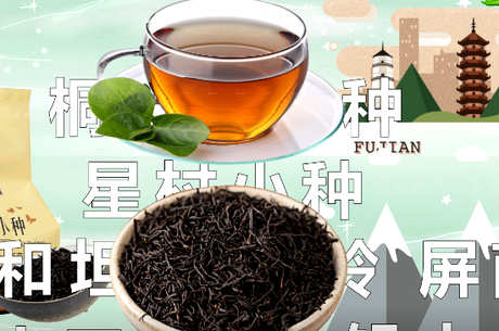 正山小种是什么茶？