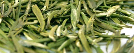 金山翠芽属于什么茶？