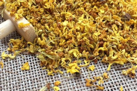 如何制作桂花茶？