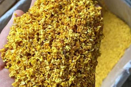 桂花如何制作桂花茶