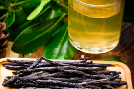 苦丁茶多久喝一次？