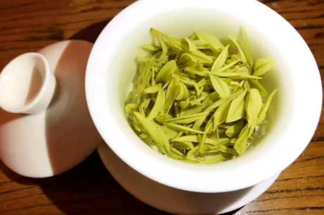 安吉白茶是绿茶吗？