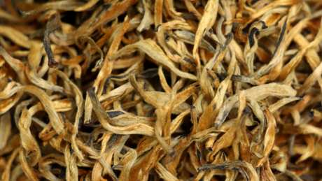 什么是大金牙茶？