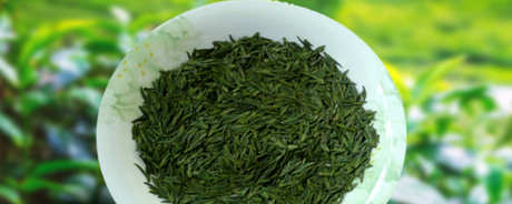 崂山茶属于什么茶？