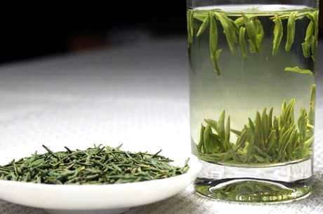 崂山茶属于什么茶？