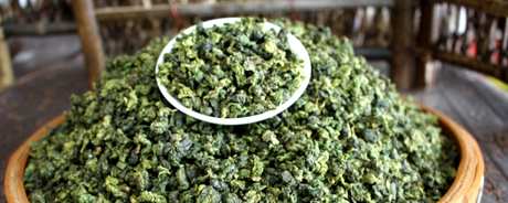 金桂属于什么茶？