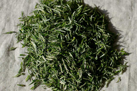 阳羡雪芽是绿茶还是白茶？