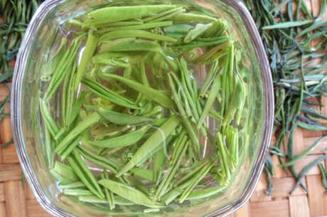 什么是宁德天山茶？