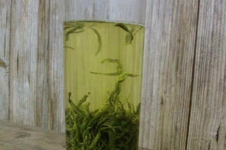 平水珠茶产地