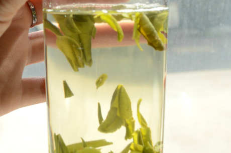开化龙顶茶是绿茶吗？