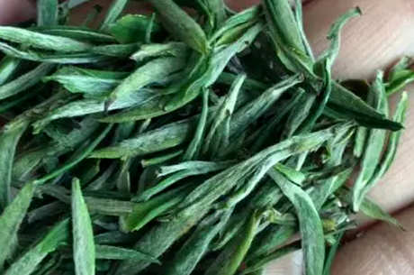 什么茶是天柱剑？