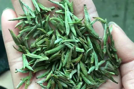 什么茶是天柱剑？