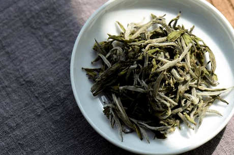 松阳银猴是白茶吗？