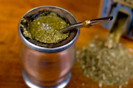 什么是马黛茶？