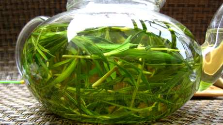 竹叶茶是凉还是热？