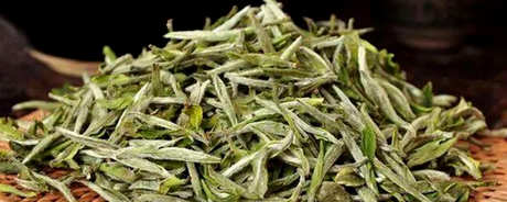 无锡毫茶属于什么茶？