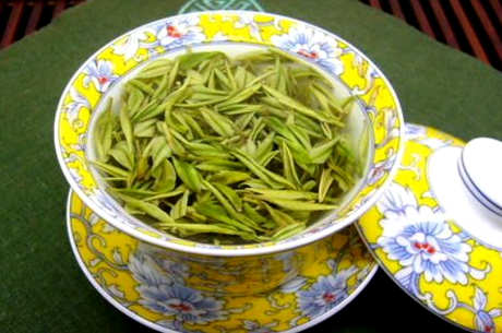 无锡毫茶属于什么茶？