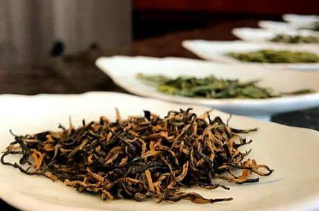 无锡毫茶属于什么茶？