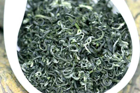 无锡毫茶和碧螺春的区别