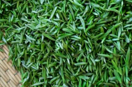 婺源茶眉是什么茶？