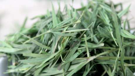 竹叶茶和竹叶绿茶的区别