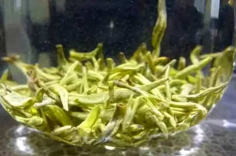 峨眉雪芽是什么茶？