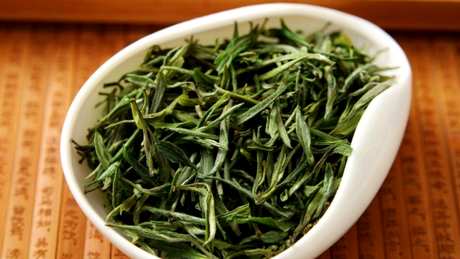 霍山黄芽是绿茶吗？