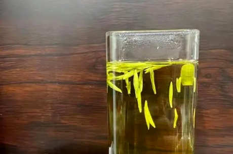 如何保存霍山黄芽？