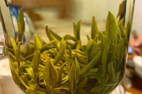 如何保存霍山黄芽？