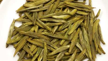 霍山黄芽是什么茶？