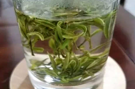 霍山黄芽是什么茶？