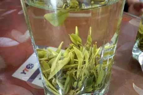 霍山黄芽是什么茶？