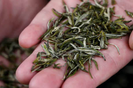 庐山云是什么茶？