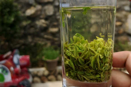 庐山云是什么茶？