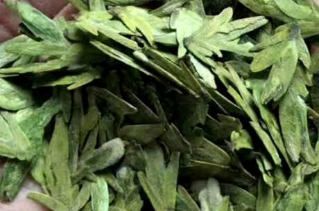 茶与名茶的区别