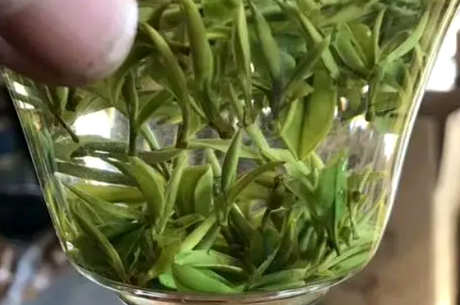 什么是空山茶？