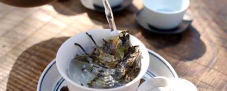 洗茶怎么洗