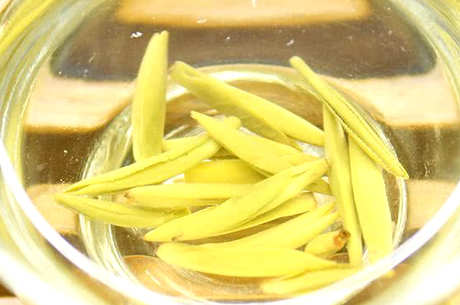 白茶是绿茶系列吗？