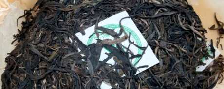 易武茶的产地在哪里？