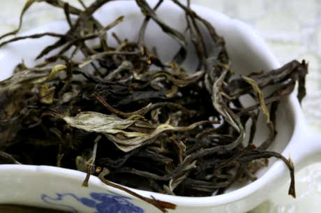 易武茶的产地在哪里？