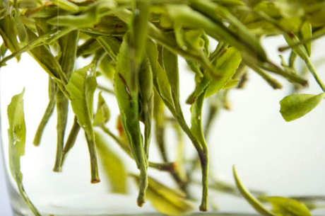 绿茶有哪些品种？