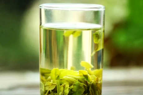 绿茶有哪些品种？